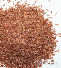 秋季吃粗糧排毒養(yǎng)顏 別錯(cuò)過這8種谷物食品及其種植知識(shí)