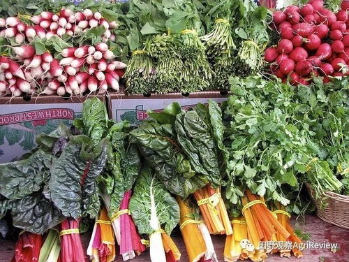 一年回本？有機(jī)模式可行？揭秘Eataly新版